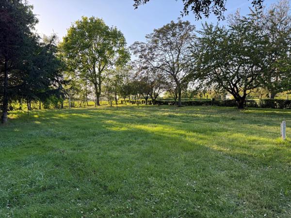 Ce beau terrain arboré, avec une borne électrique et de l'eau.