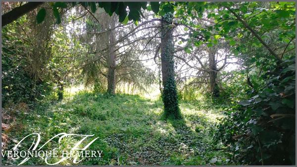 L'âme d'un lieu, le souffle d'un projet pour cette ancienne à s'approprier