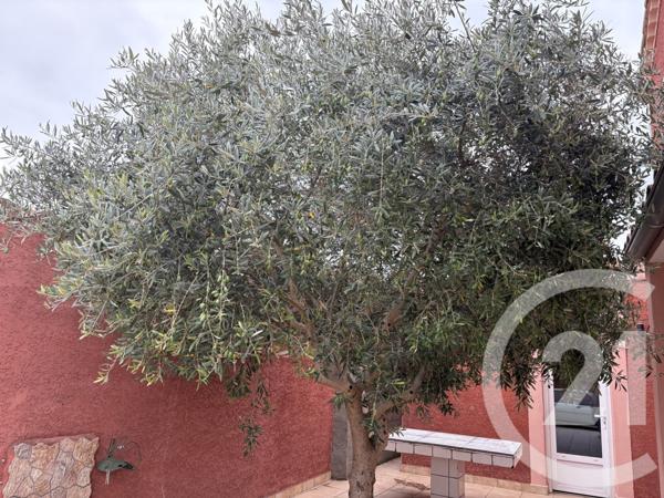 Maison à vendre  6 pièces - 115 m2 LIMOUX - 11