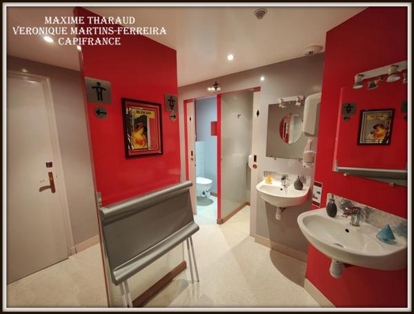 À Vendre : Fonds de Commerce Hôtelier de Charme à Cheverny