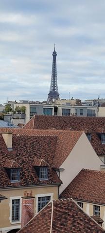 Paris (75006) RUE DE SEVRES 28m² VUE TOUR EIFFEL