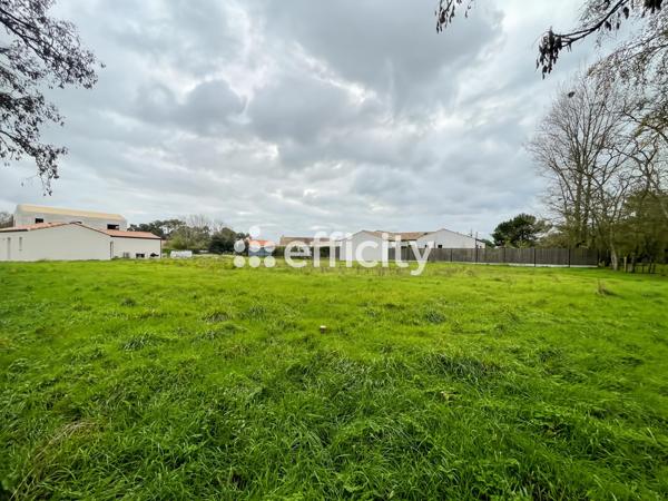 Terrain - 1973 m² Exclusivité efficity