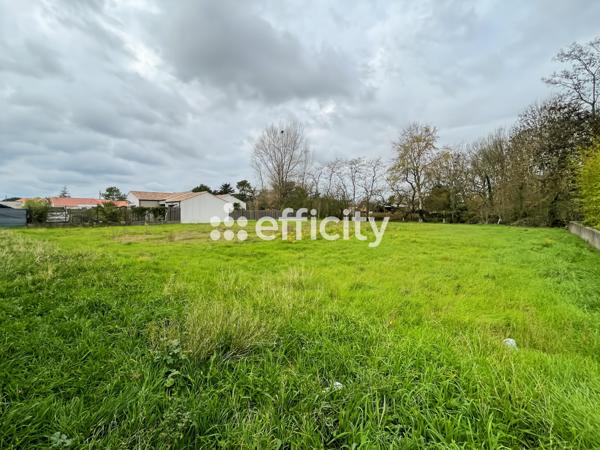 Terrain - 1973 m² Exclusivité efficity