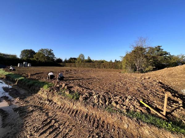 Terrains libres de constructeurs