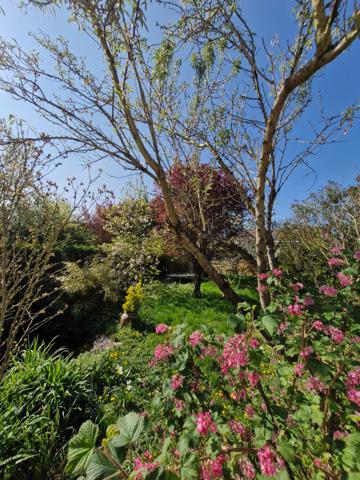 Vente Maison BEAUVAIS (60000) - 6 pièces - 127 m² |