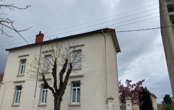 Vente Immeuble rénové(e) Roanne   