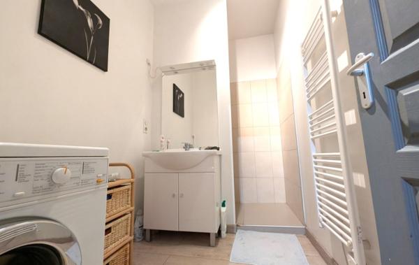 Vente Immeuble individuel d'habitation rénové(e) Roanne