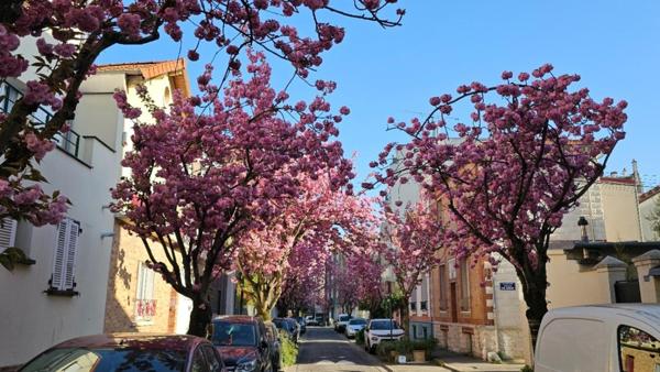 LES LILAS LOFT 3 CHAMBRES AVEC TERRASSE