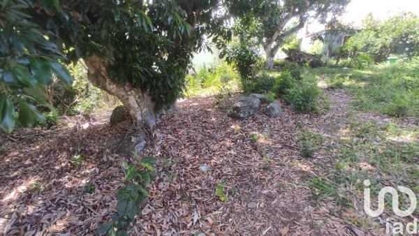 Terrain à vendre 319 m² Saint-Louis