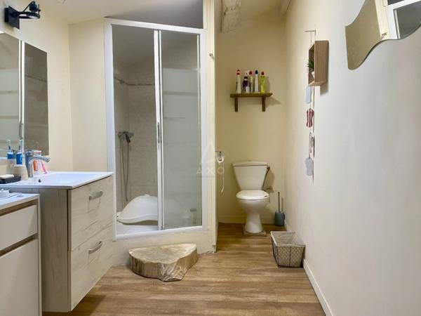 À Brizambourg  Longère avec Gîte Attenant  290 m² Habitables