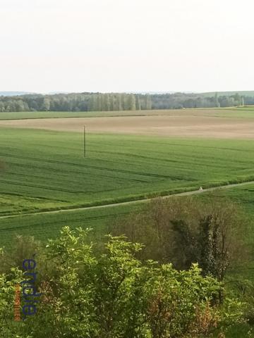 DEUX MAISONS A RENOVER AVEC TROGLODYTES SECTEUR CONVOITE