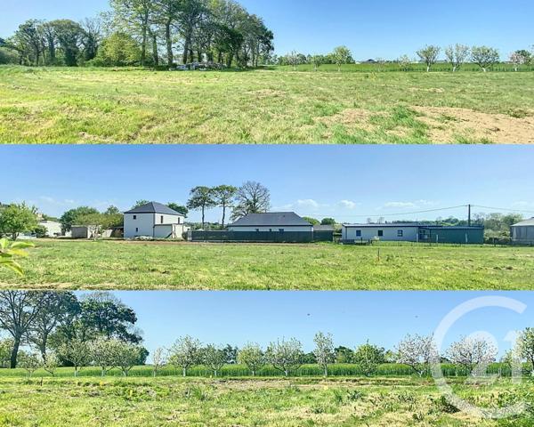 Terrain à vendre  753 m2 PLELO - 22
