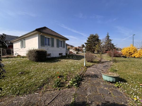 Maison familiale avec jardin et sous-sol complet