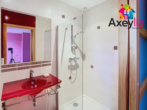 Riorges (42153) A VENDRE- RIORGES- MAISON DE CARACTÈRE AVEC EXTENSION SUR TERRAIN DE 996 M2 AVEC PUITS