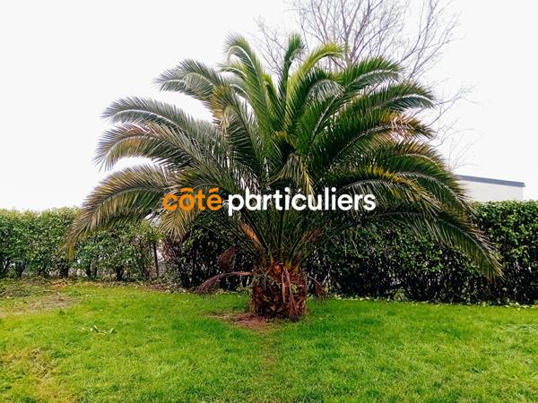 Vente Maison100 m² - 6 Pièces - LANGUIDIC (56440)