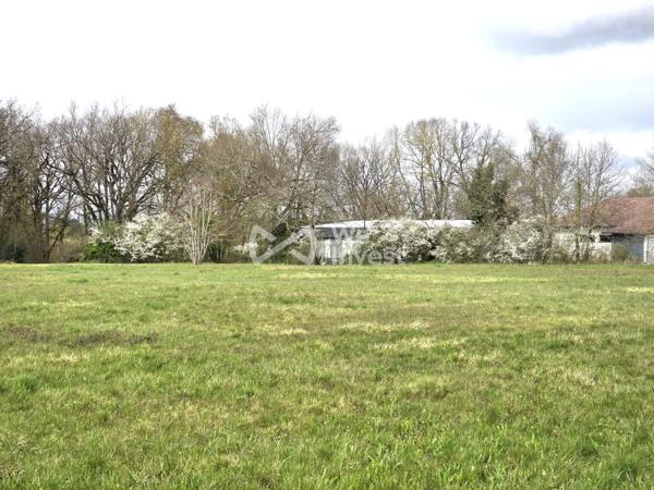 Terrain constructible 12000m²