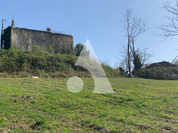 Terrain 12359 m2