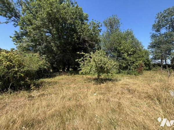 TERRAIN A BÂTIR 730 M²