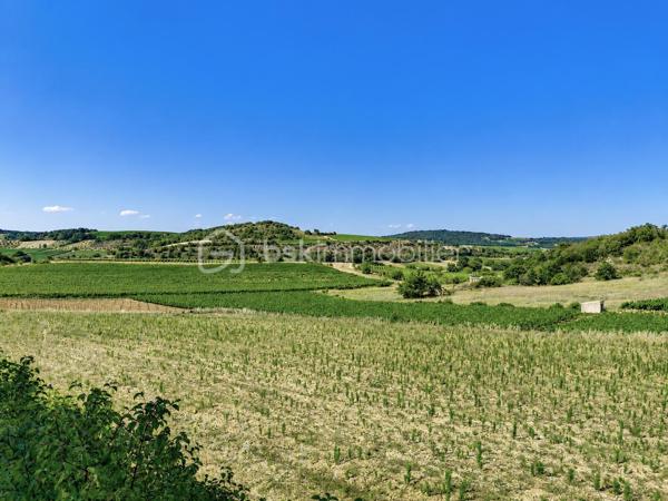 À seulement quelques minutes de Limoux et à proximité immédiate de Pauligne, découvrez ce magnifique terrain offrant un cadre naturel préservé et une belle qualité de vie.

D'une superficie totale de 10 175 m², il se compose de 1 600 m² constructibles et de 8 575 m² de terrain agricole et naturel, garantissant espace, intimité et tranquillité.

Une étude de sol G1 a été réalisée. Un permis de construire a également été obtenu et pourra être mis à disposition des acquéreurs s'ils souhaitent s'appuyer sur ce projet, tout en conservant la possibilité de développer leur propre projet.

Un bien rare, idéal pour concrétiser votre projet de vie dans un environnement calme et verdoyant, à proximité de Limoux.