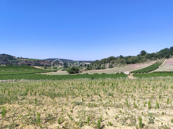 À seulement quelques minutes de Limoux et à proximité immédiate de Pauligne, découvrez ce magnifique terrain offrant un cadre naturel préservé et une belle qualité de vie.

D'une superficie totale de 10 175 m², il se compose de 1 600 m² constructibles et de 8 575 m² de terrain agricole et naturel, garantissant espace, intimité et tranquillité.

Une étude de sol G1 a été réalisée. Un permis de construire a également été obtenu et pourra être mis à disposition des acquéreurs s'ils souhaitent s'appuyer sur ce projet, tout en conservant la possibilité de développer leur propre projet.

Un bien rare, idéal pour concrétiser votre projet de vie dans un environnement calme et verdoyant, à proximité de Limoux.