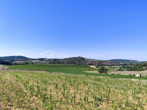 À seulement quelques minutes de Limoux et à proximité immédiate de Pauligne, découvrez ce magnifique terrain offrant un cadre naturel préservé et une belle qualité de vie.

D'une superficie totale de 10 175 m², il se compose de 1 600 m² constructibles et de 8 575 m² de terrain agricole et naturel, garantissant espace, intimité et tranquillité.

Une étude de sol G1 a été réalisée. Un permis de construire a également été obtenu et pourra être mis à disposition des acquéreurs s'ils souhaitent s'appuyer sur ce projet, tout en conservant la possibilité de développer leur propre projet.

Un bien rare, idéal pour concrétiser votre projet de vie dans un environnement calme et verdoyant, à proximité de Limoux.