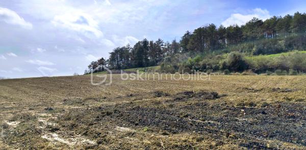 À seulement quelques minutes de Limoux et à proximité immédiate de Pauligne, découvrez ce magnifique terrain offrant un cadre naturel préservé et une belle qualité de vie.

D'une superficie totale de 10 175 m², il se compose de 1 600 m² constructibles et de 8 575 m² de terrain agricole et naturel, garantissant espace, intimité et tranquillité.

Une étude de sol G1 a été réalisée. Un permis de construire a également été obtenu et pourra être mis à disposition des acquéreurs s'ils souhaitent s'appuyer sur ce projet, tout en conservant la possibilité de développer leur propre projet.

Un bien rare, idéal pour concrétiser votre projet de vie dans un environnement calme et verdoyant, à proximité de Limoux.