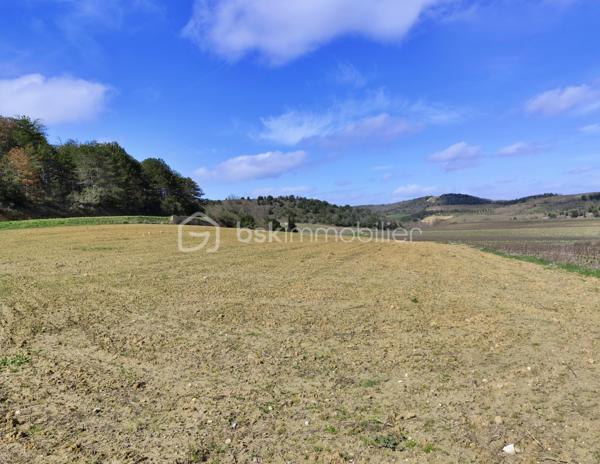 À seulement quelques minutes de Limoux et à proximité immédiate de Pauligne, découvrez ce magnifique terrain offrant un cadre naturel préservé et une belle qualité de vie.

D'une superficie totale de 10 175 m², il se compose de 1 600 m² constructibles et de 8 575 m² de terrain agricole et naturel, garantissant espace, intimité et tranquillité.

Une étude de sol G1 a été réalisée. Un permis de construire a également été obtenu et pourra être mis à disposition des acquéreurs s'ils souhaitent s'appuyer sur ce projet, tout en conservant la possibilité de développer leur propre projet.

Un bien rare, idéal pour concrétiser votre projet de vie dans un environnement calme et verdoyant, à proximité de Limoux.