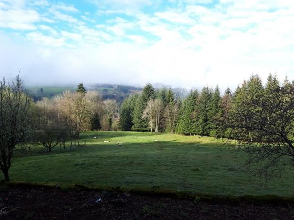 Location Appartement 58 m² - Gérardmer 88400