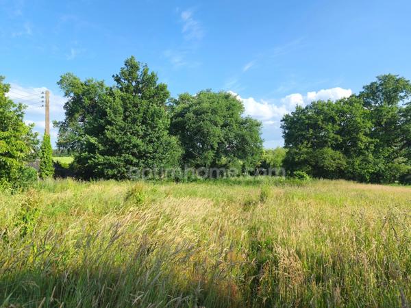 Terrain à vendre (35)