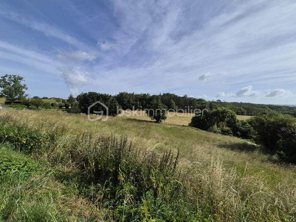 Terrain de 3 264 m²