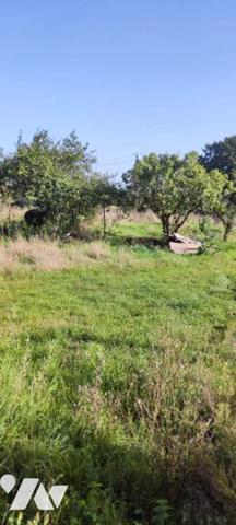 Petite maison ancienne