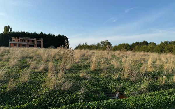 Terrain à vendre    Seingbouse