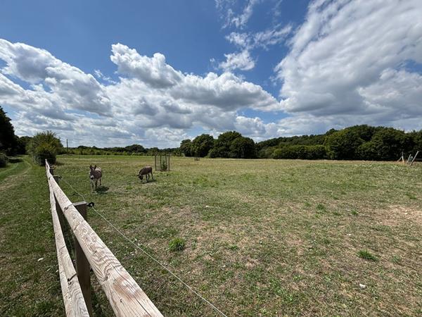 Maison Pontigne 7 pièce(s)