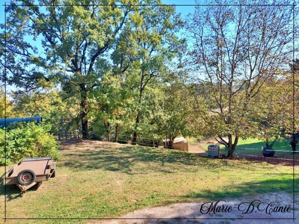 Maison de trois chambres + sous sol aménageable en rez-de-jardin sur 7400m² de jardin.