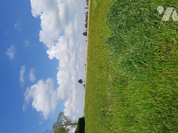A vendre deux terrains à bâtir