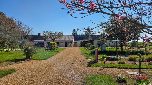 Jolie maison ancienne avec dépendances !