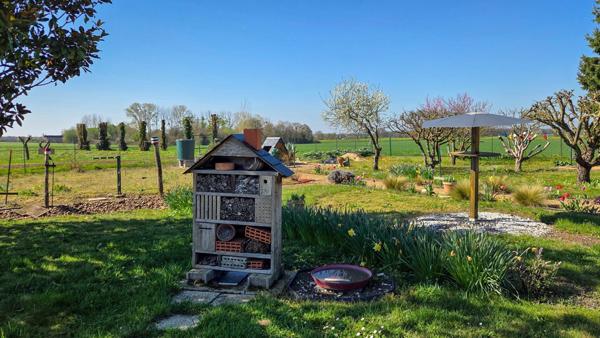 Jolie maison ancienne avec dépendances !