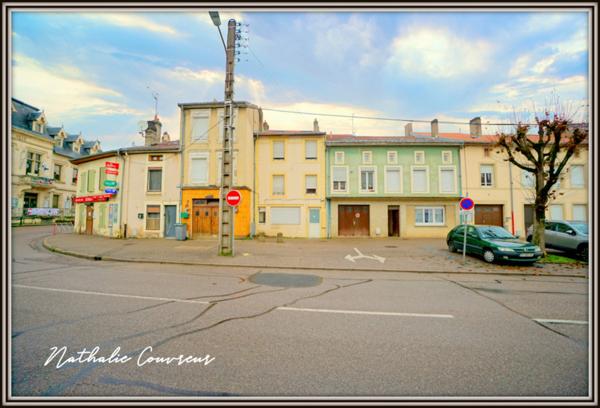 Appartement à louer 4 pièces PAGNY SUR MOSELLE (54)