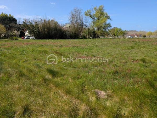 À vendre terrain avec CU de 1 800 m² situé à Grézet-Cavagnan, petit village calme disposant d’une école et d’un terrain multisport.
Emplacement recherché, entre Casteljaloux et Marmande, avec un accès rapide à l’autoroute.
📞 Pour toute information complémentaire, merci de me contacter.