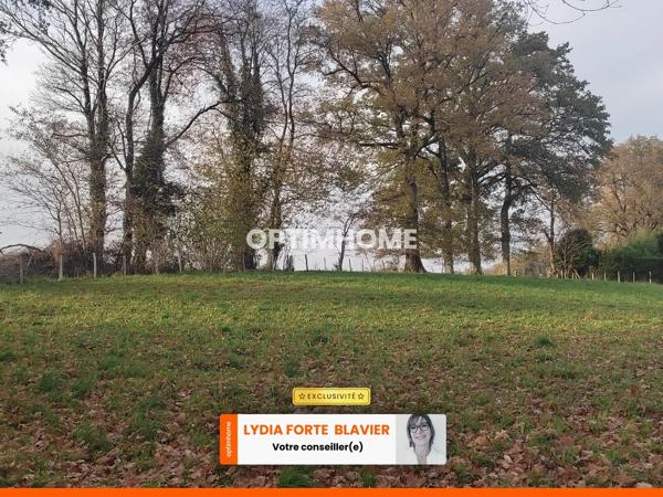 Terrain à vendre de 8 015,00 m² LA GENEYTOUSE (87)