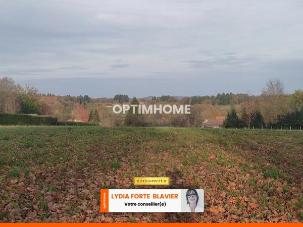 Terrain à vendre de 8 015,00 m² LA GENEYTOUSE (87)