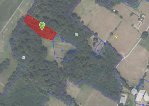 Vente Autre terrain à Ossun