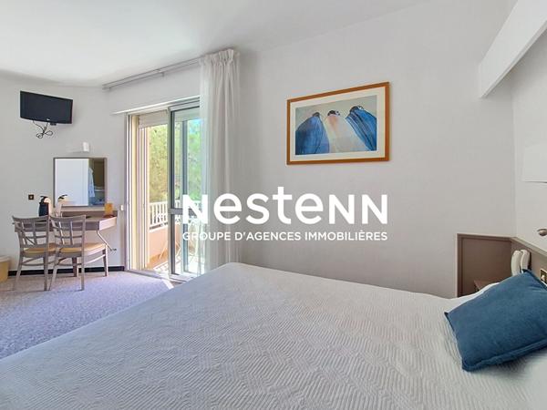 Appartement Argeles Sur Mer 1 pièce