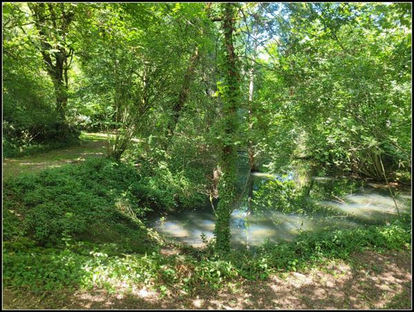 SITE D EXCEPTION, 6 HABITATIONS, UN LAC, DES BOIS, DES PRAIRIES à LA ROMIEU (32)