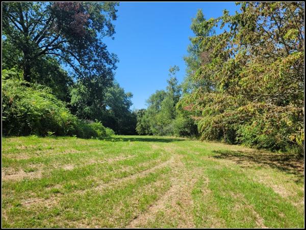 SITE D EXCEPTION, 6 HABITATIONS, UN LAC, DES BOIS, DES PRAIRIES à LA ROMIEU (32)