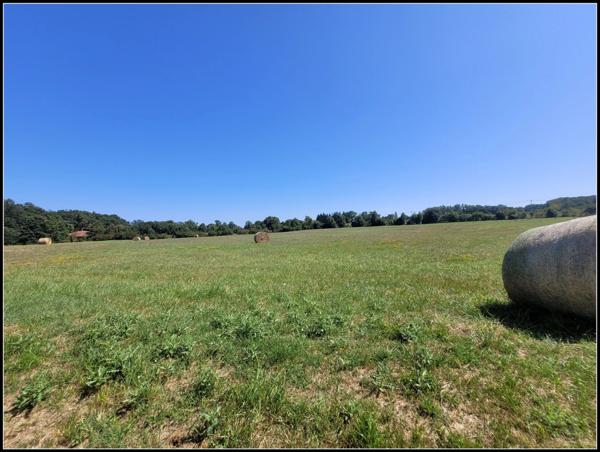 SITE D EXCEPTION, 6 HABITATIONS, UN LAC, DES BOIS, DES PRAIRIES à LA ROMIEU (32)