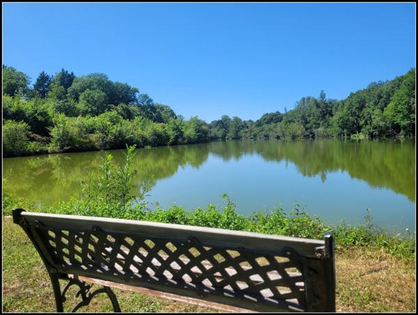 SITE D EXCEPTION, 6 HABITATIONS, UN LAC, DES BOIS, DES PRAIRIES à LA ROMIEU (32)