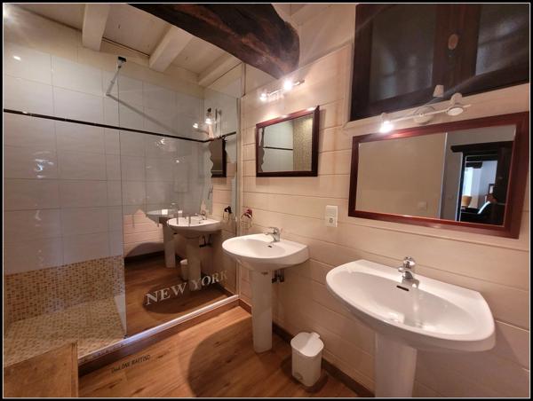 SITE D EXCEPTION, 6 HABITATIONS, UN LAC, DES BOIS, DES PRAIRIES à LA ROMIEU (32)