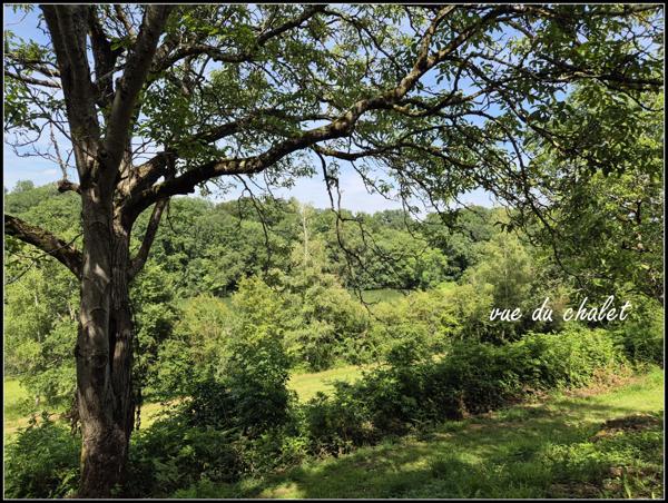 SITE D EXCEPTION, 6 HABITATIONS, UN LAC, DES BOIS, DES PRAIRIES à LA ROMIEU (32)