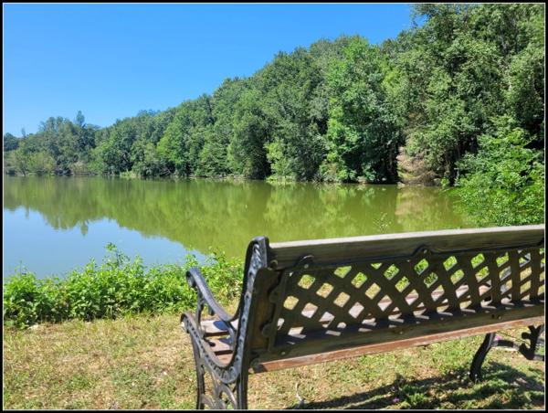 SITE D EXCEPTION, 6 HABITATIONS, UN LAC, DES BOIS, DES PRAIRIES à LA ROMIEU (32)